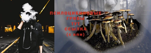 стаф Балахна