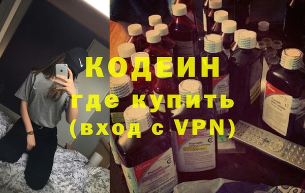 стаф Балахна
