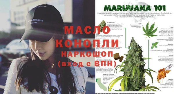 стаф Балахна